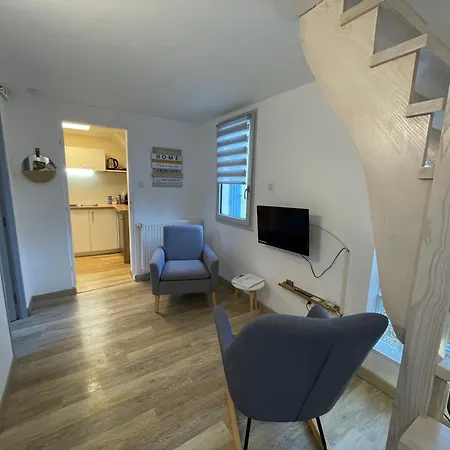 Tournesol&anémone Sarlat