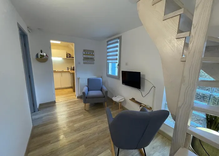 Tournesol & Anemone Sarlat-la-Canéda