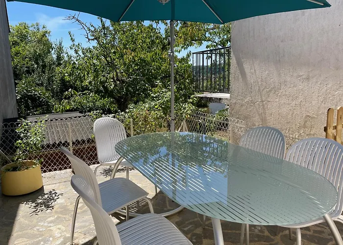 Tournesol & Anemone 萨尔拉拉卡内达