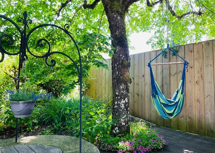 Tournesol & Anemone *